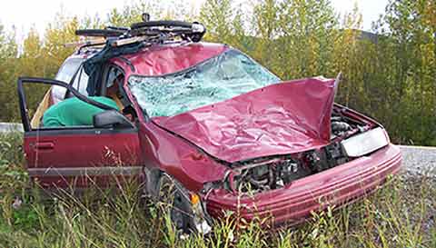Car crash with bison. 
